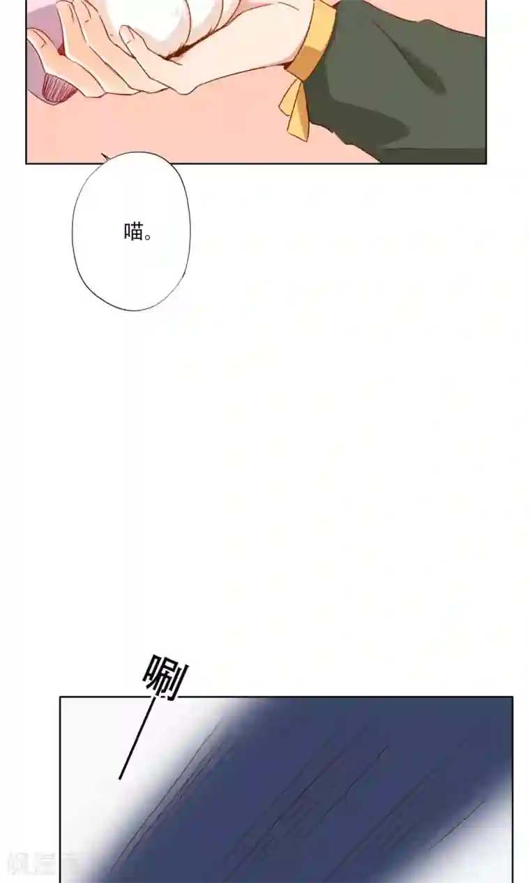 镜花传说最终话