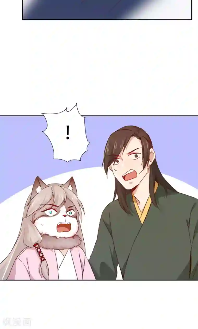 镜花传说最终话