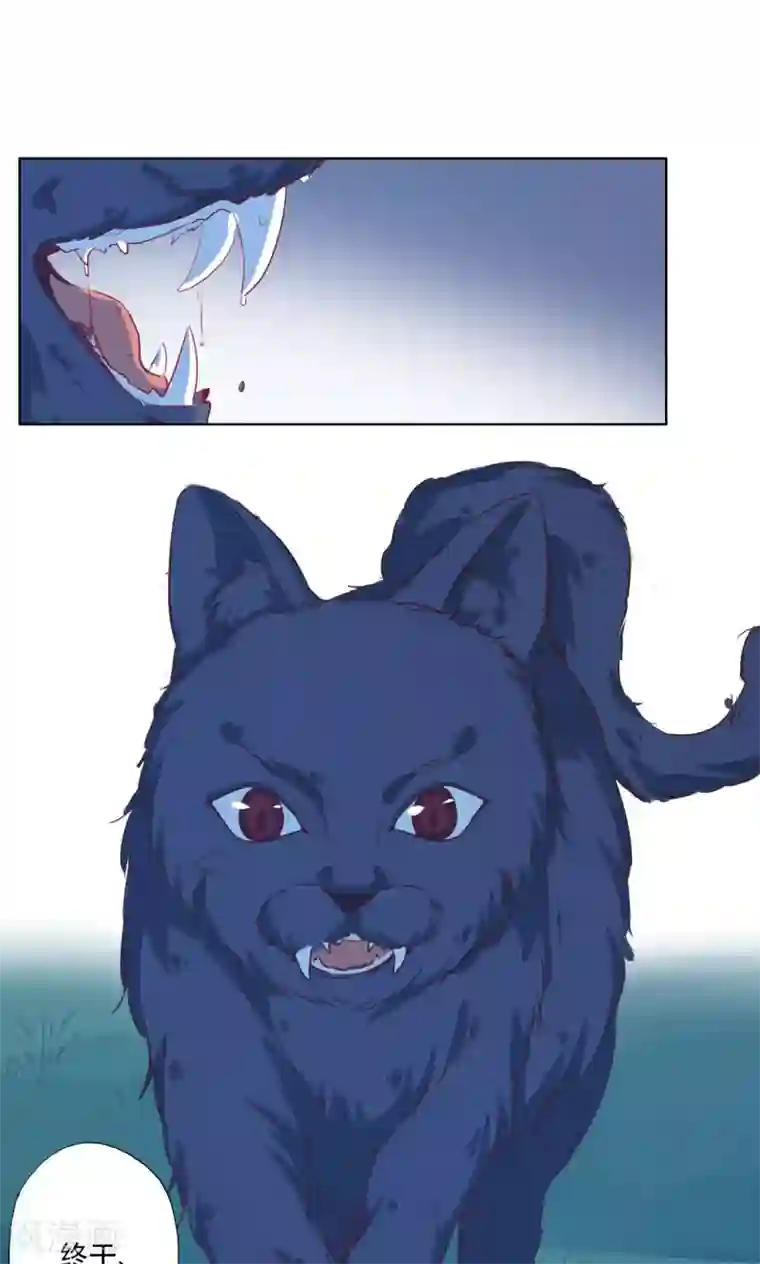 镜花传说最终话