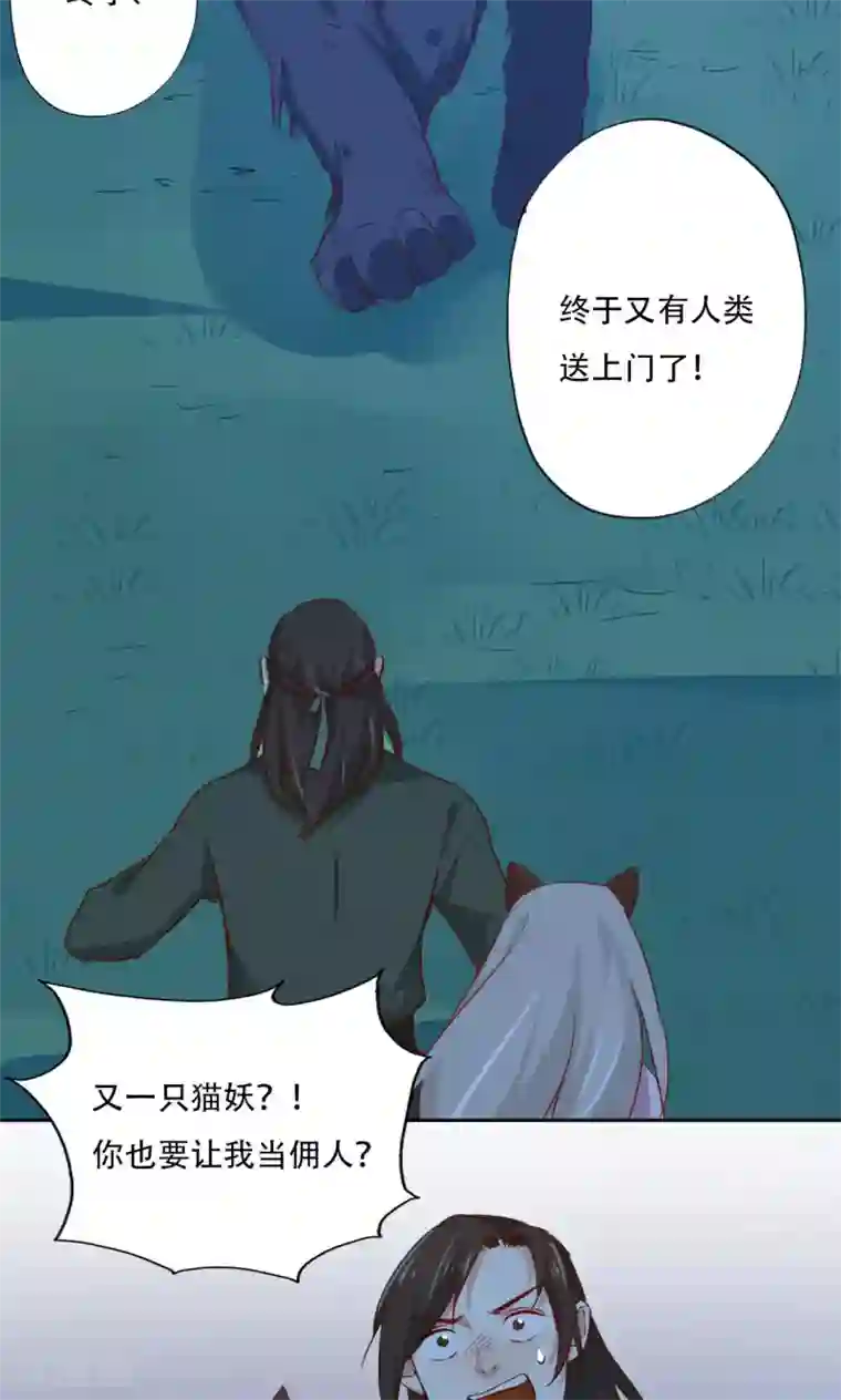 镜花传说最终话