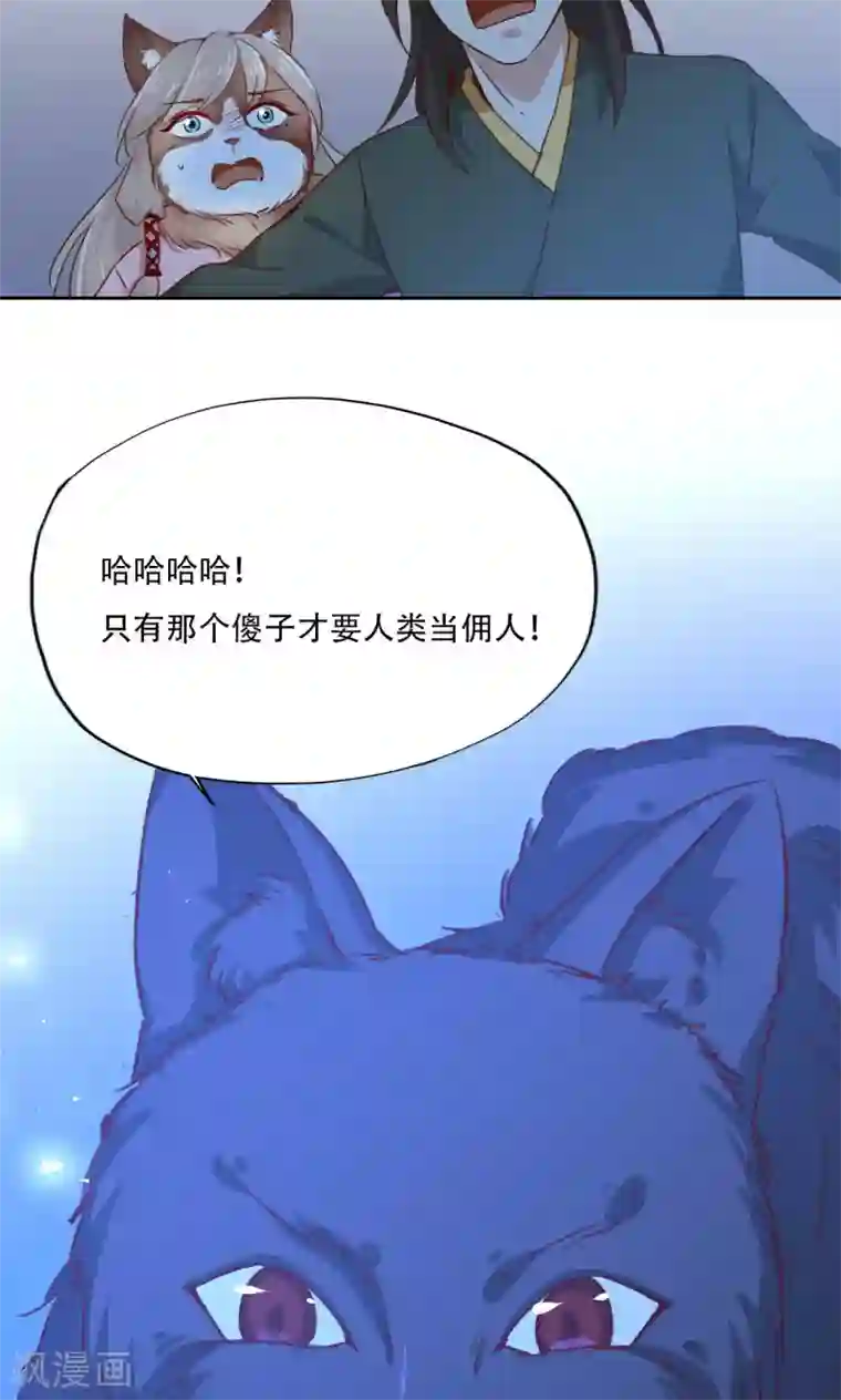 镜花传说最终话