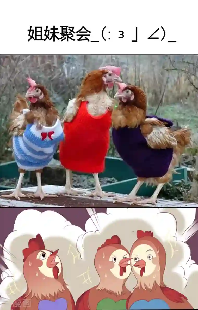 萌妻难哄第40话 意意回怼