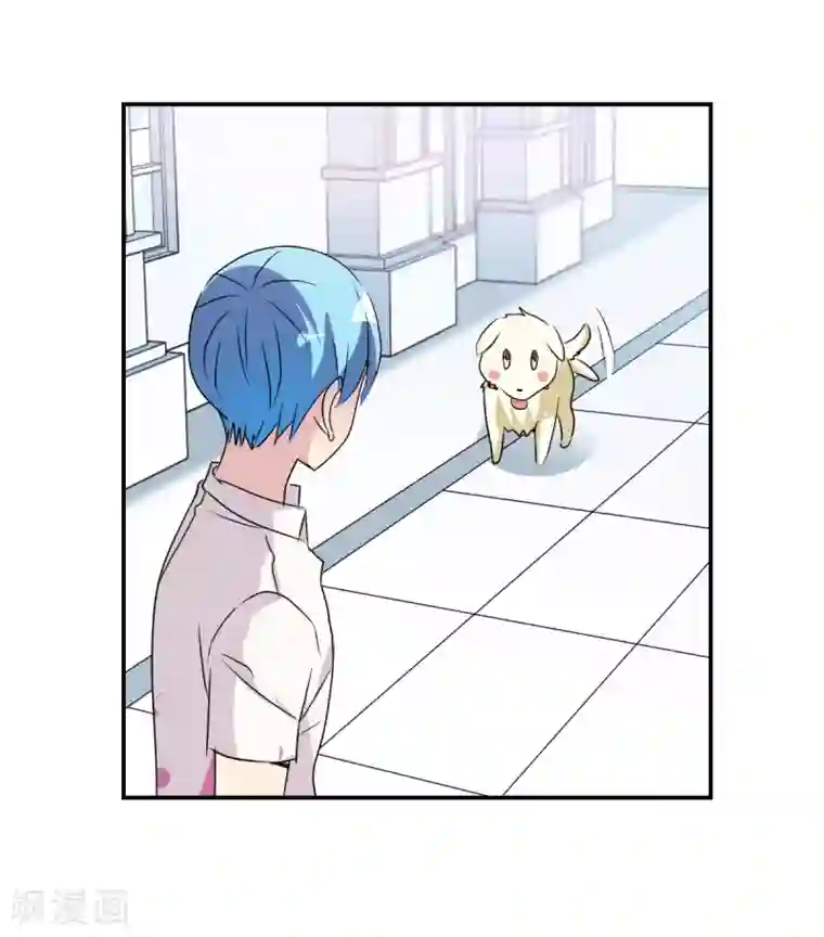 给我闭嘴！番外篇2 魅力四射的曹启