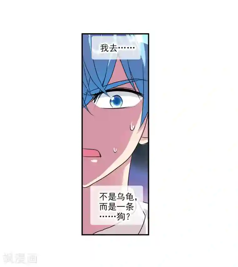 给我闭嘴！番外篇2 魅力四射的曹启