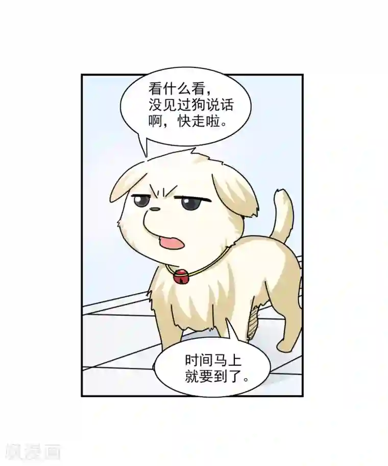 给我闭嘴！番外篇2 魅力四射的曹启