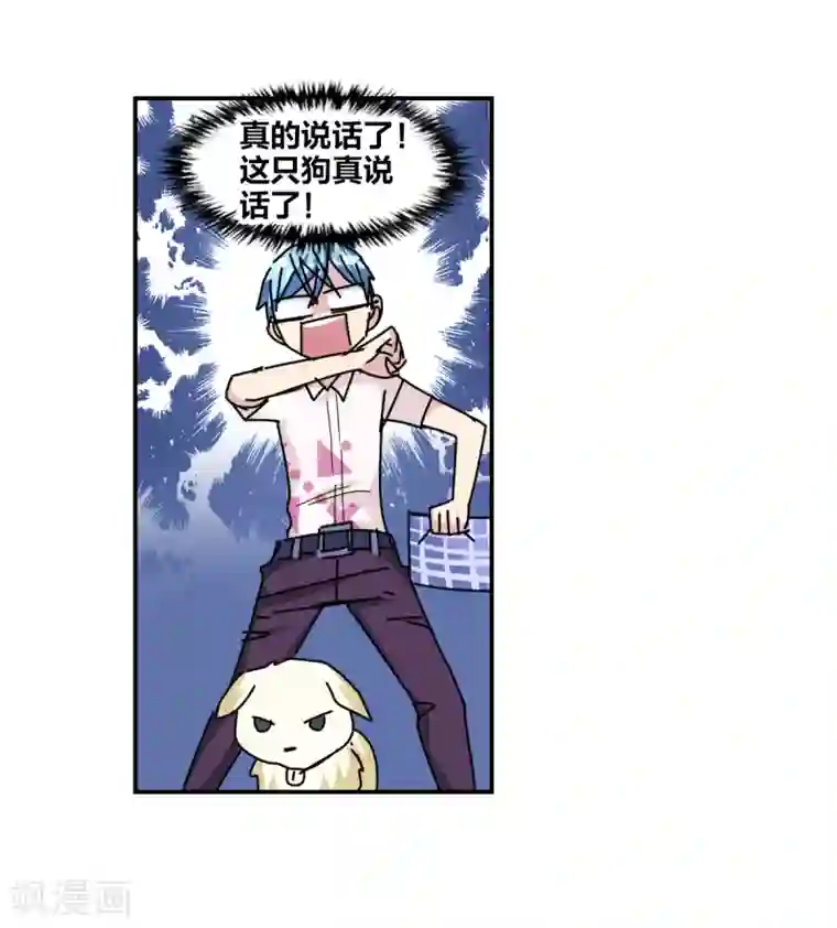 给我闭嘴！番外篇2 魅力四射的曹启