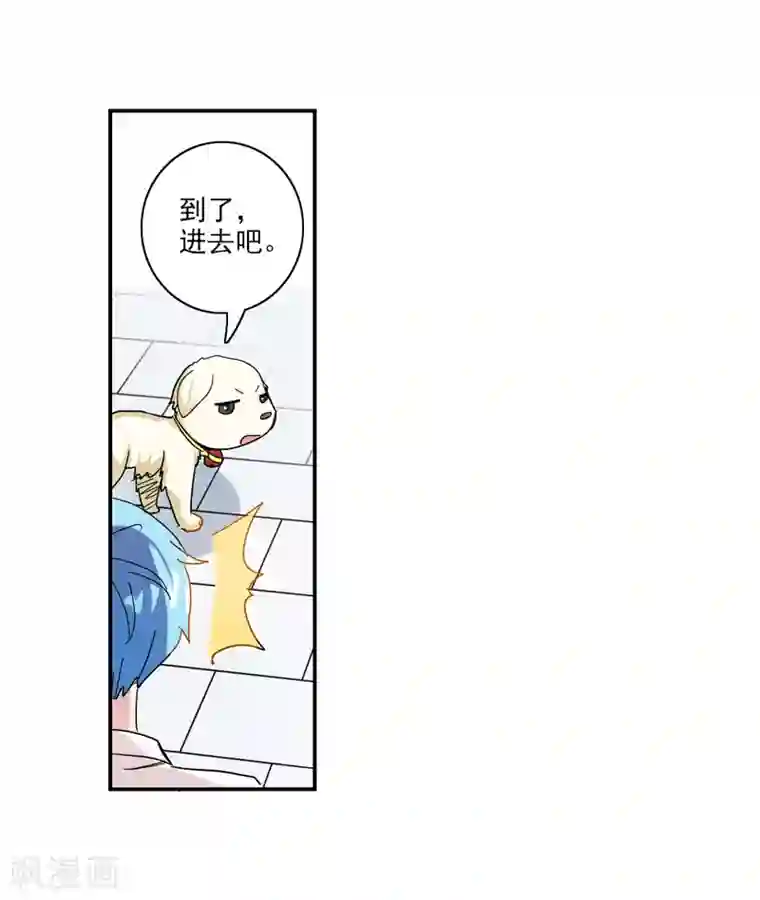 给我闭嘴！番外篇2 魅力四射的曹启