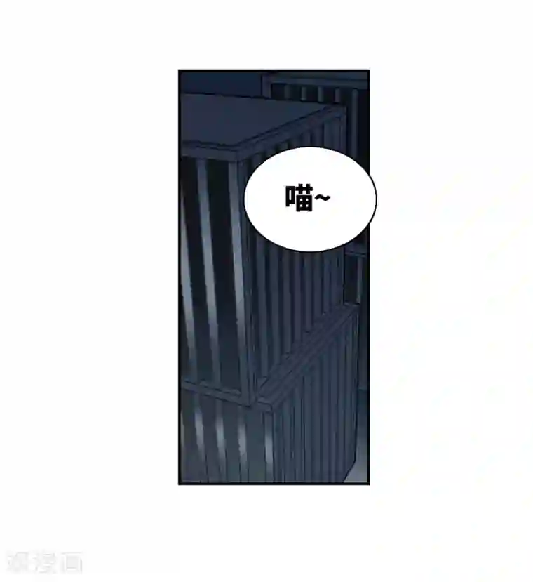 中国女明星走光露出毛的照片第31话3 走私犯