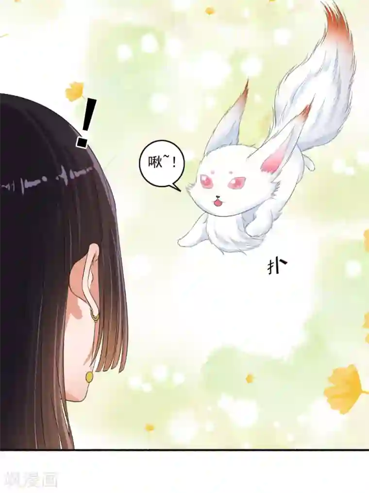 嚣张狂妃第71话 放马过来！