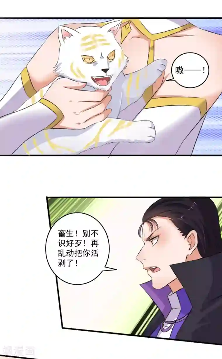 嚣张狂妃第72话 袭胸小怪兽