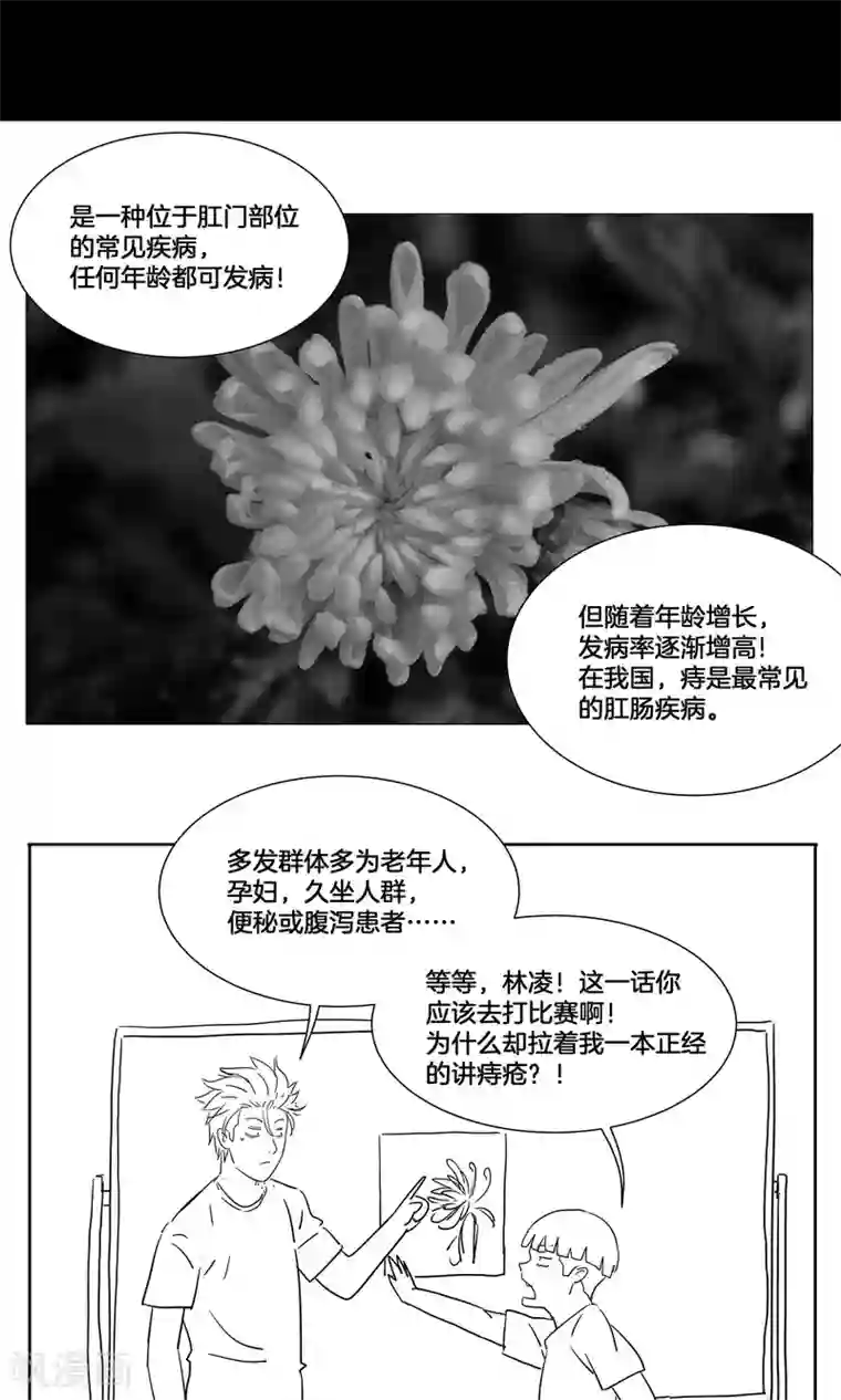 篮板下的青春番外1