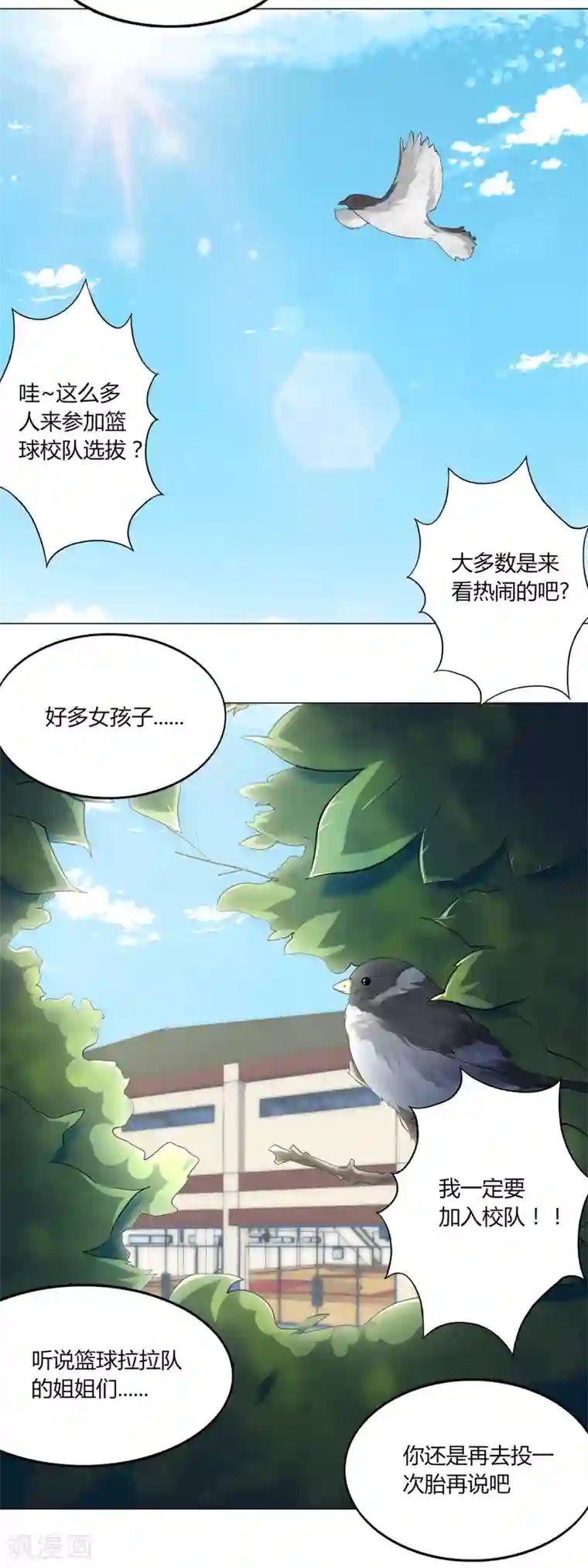 篮板下的青春第55话 校队选拔