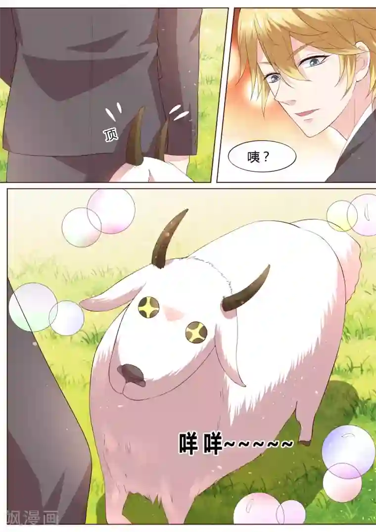 小仙来偷袭番外3