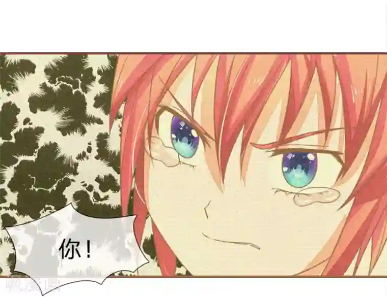 国民总裁爱上我第91话 拳击和全鸡