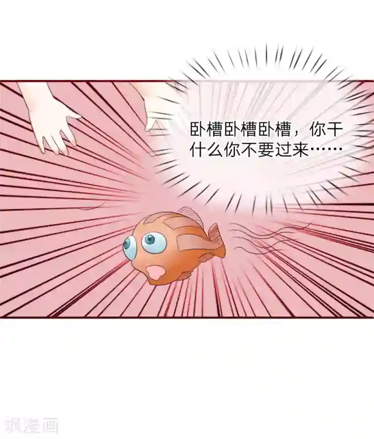 国民总裁爱上我第137话 宠女狂魔上线