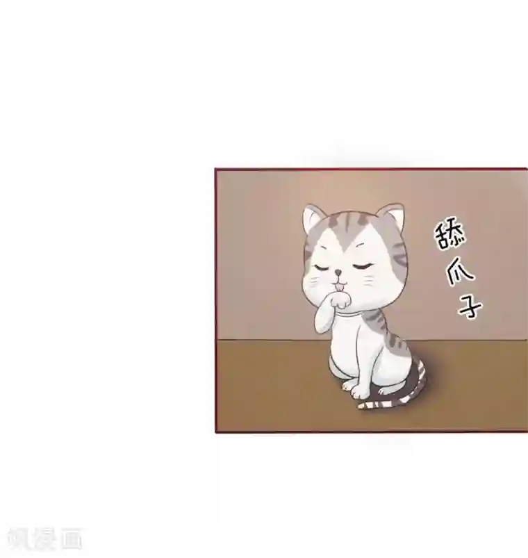 国民总裁爱上我第137话 宠女狂魔上线