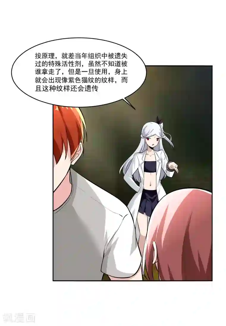 我的王者时间最终话 归于平静