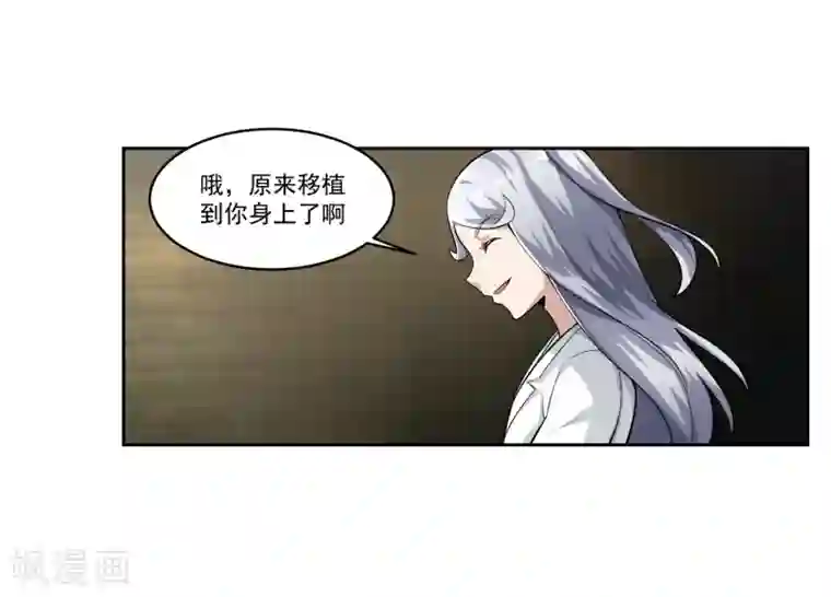 我的王者时间最终话 归于平静