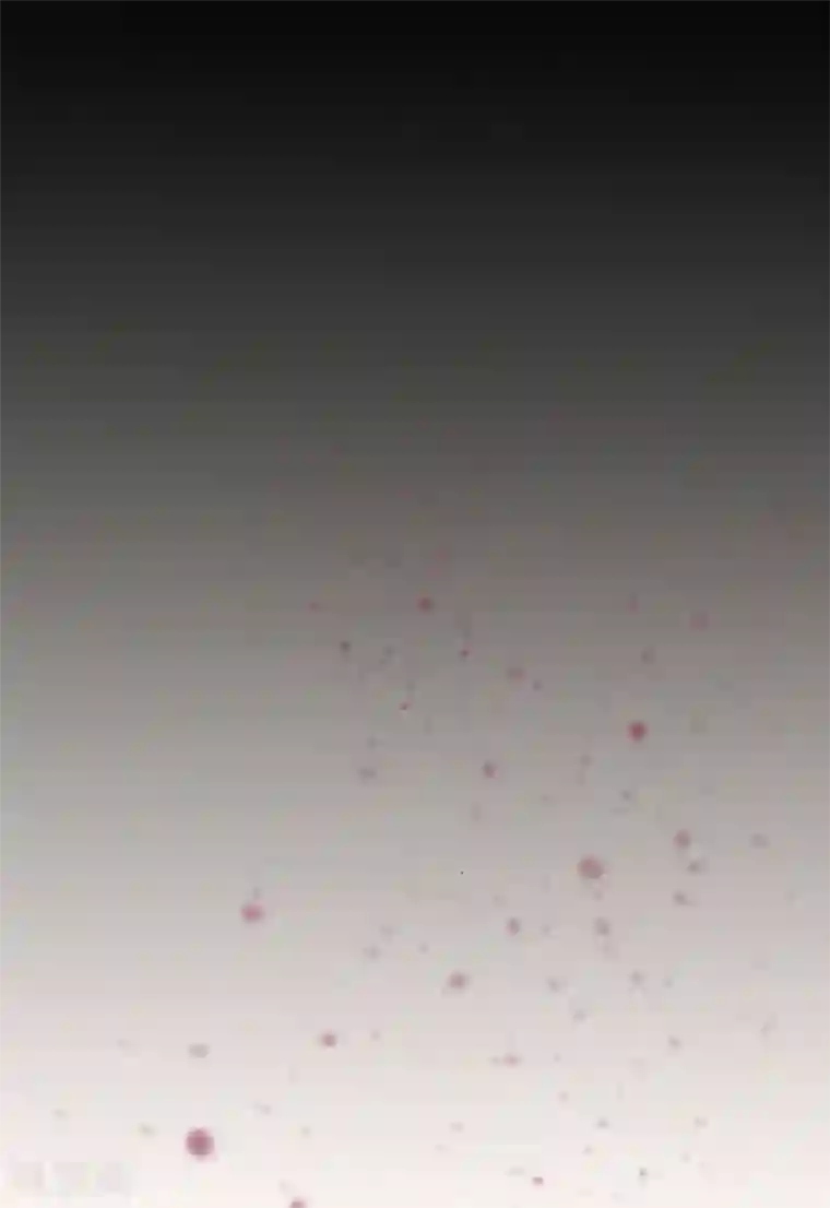 超级败家子第20话 反套路出牌