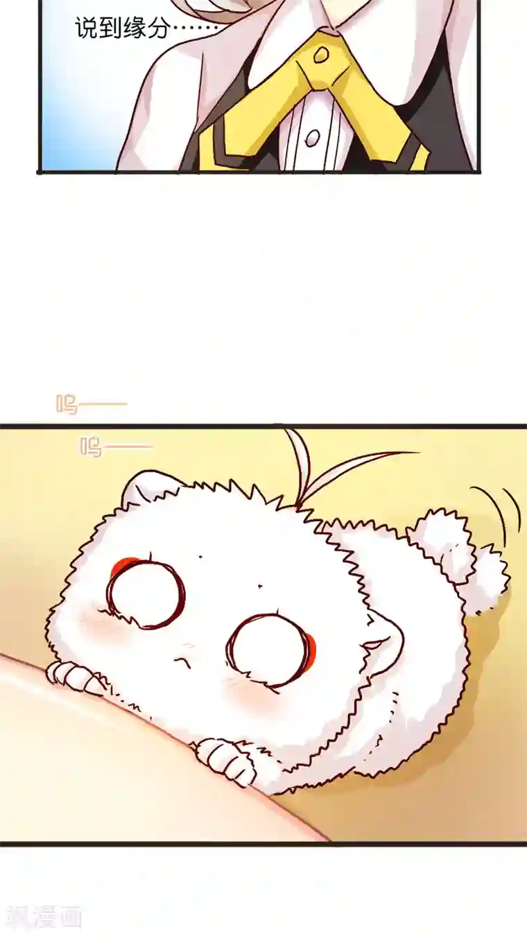 天章奇谭第37话 话归的灵烨以及……