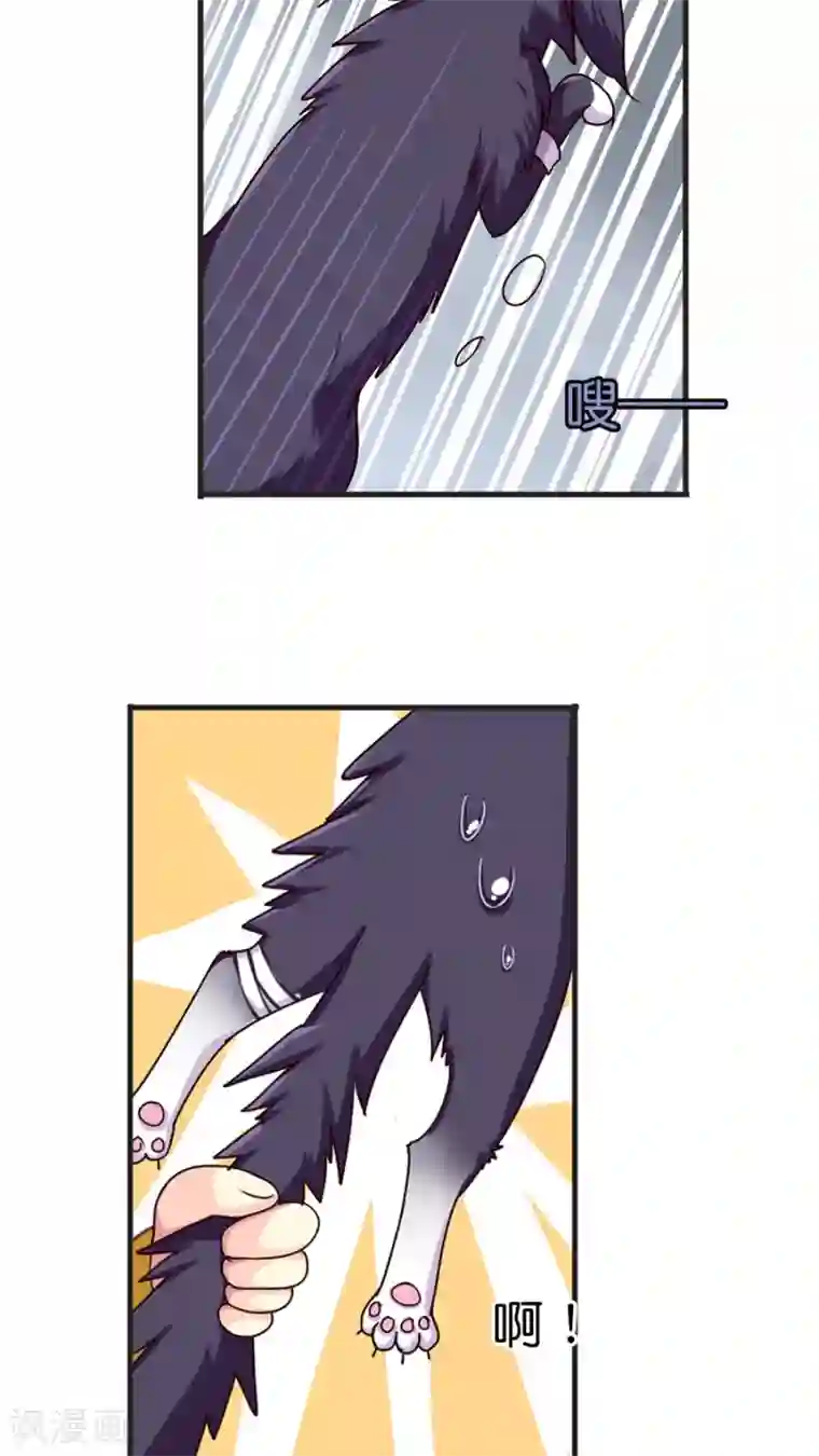 天章奇谭第39话 猫比狗受欢迎哦！