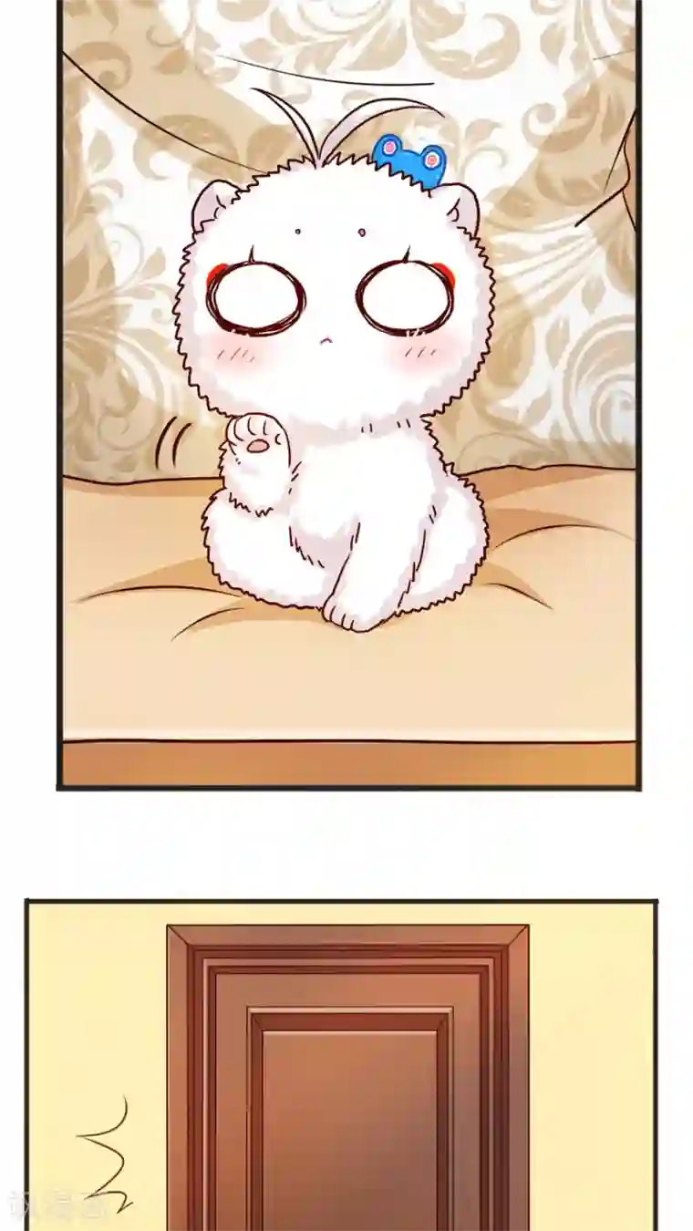 天章奇谭第39话 猫比狗受欢迎哦！