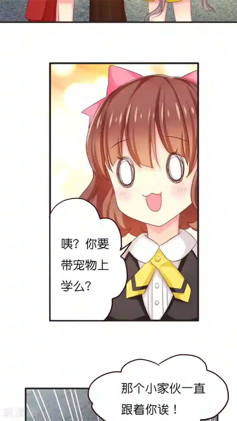 天章奇谭第39话 猫比狗受欢迎哦！