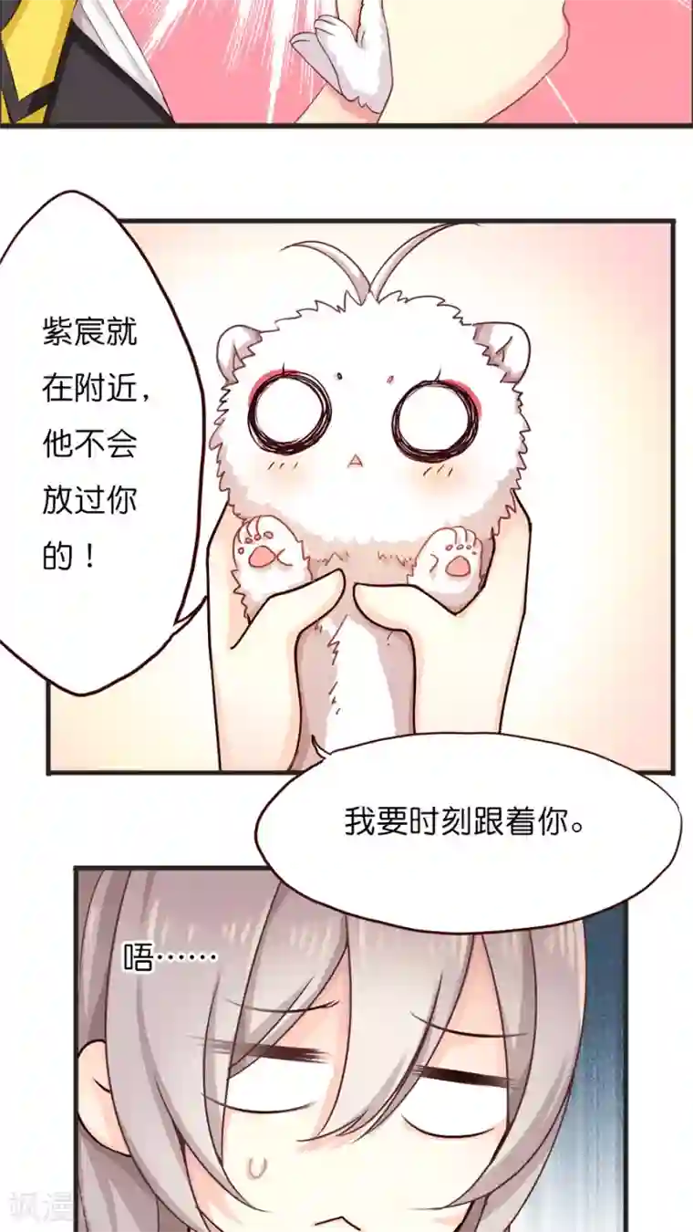 天章奇谭第39话 猫比狗受欢迎哦！