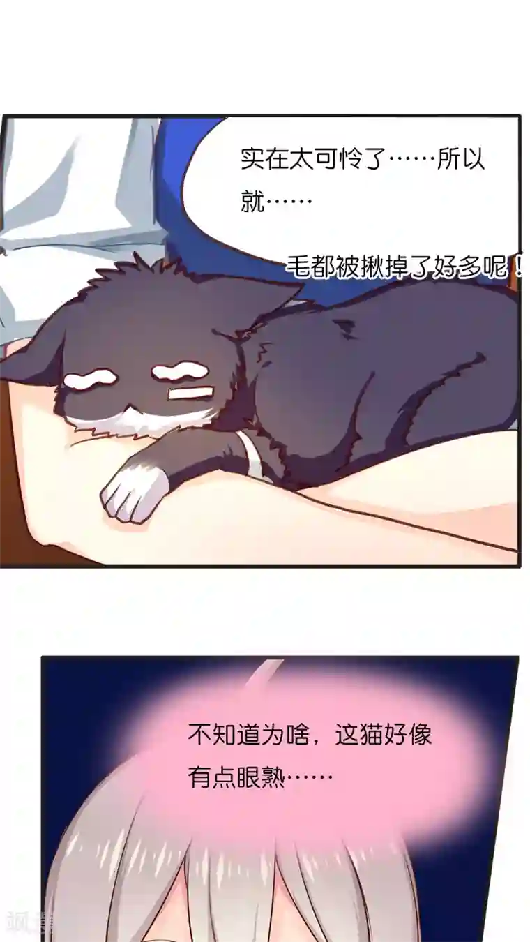 天章奇谭第42话 猫与狗与守护权之争