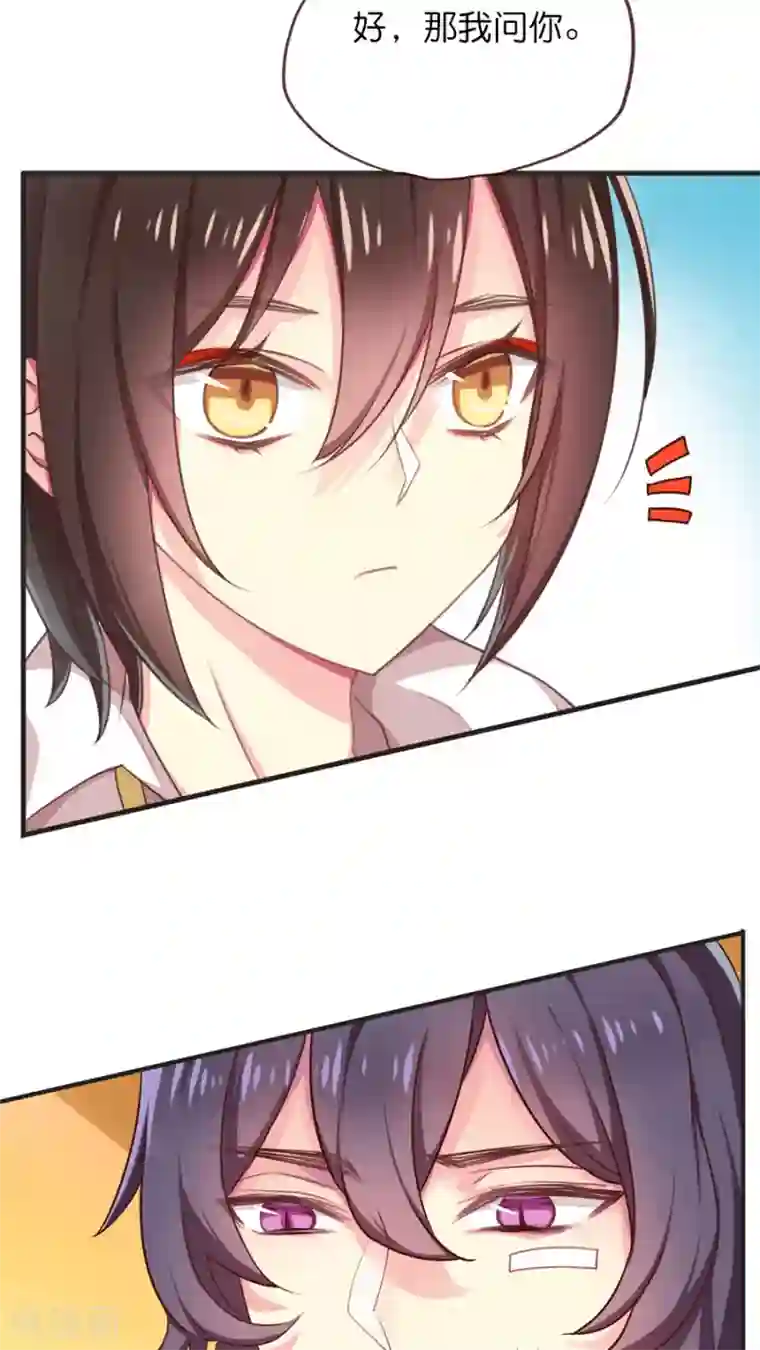 天章奇谭第42话 猫与狗与守护权之争