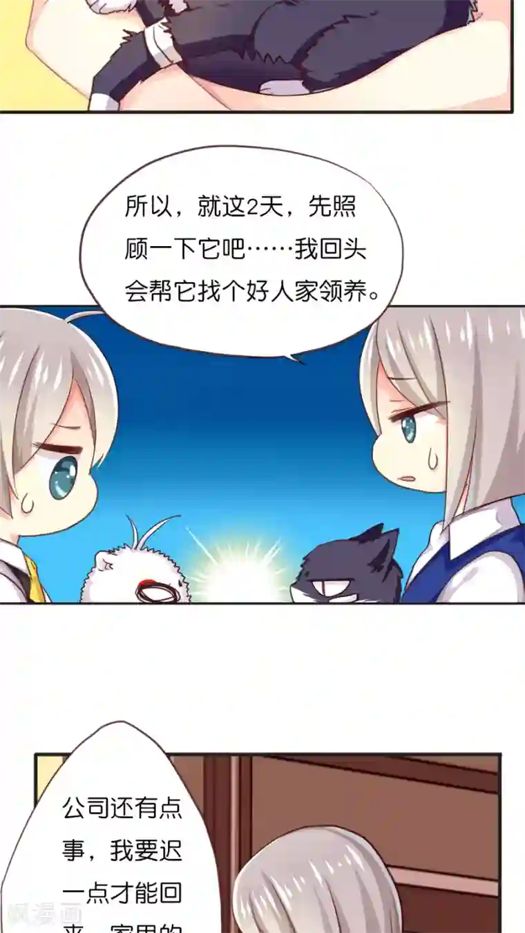 天章奇谭第42话 猫与狗与守护权之争