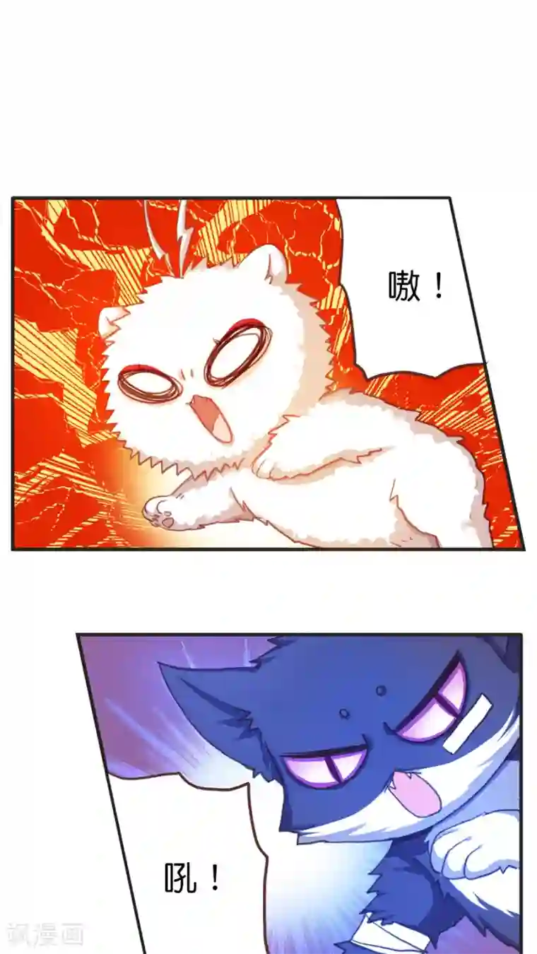 天章奇谭第42话 猫与狗与守护权之争