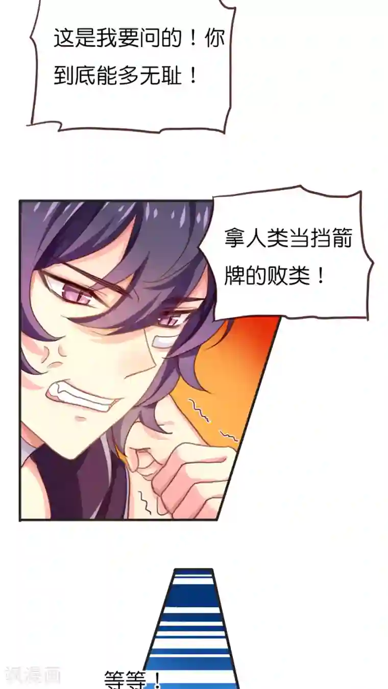 天章奇谭第42话 猫与狗与守护权之争