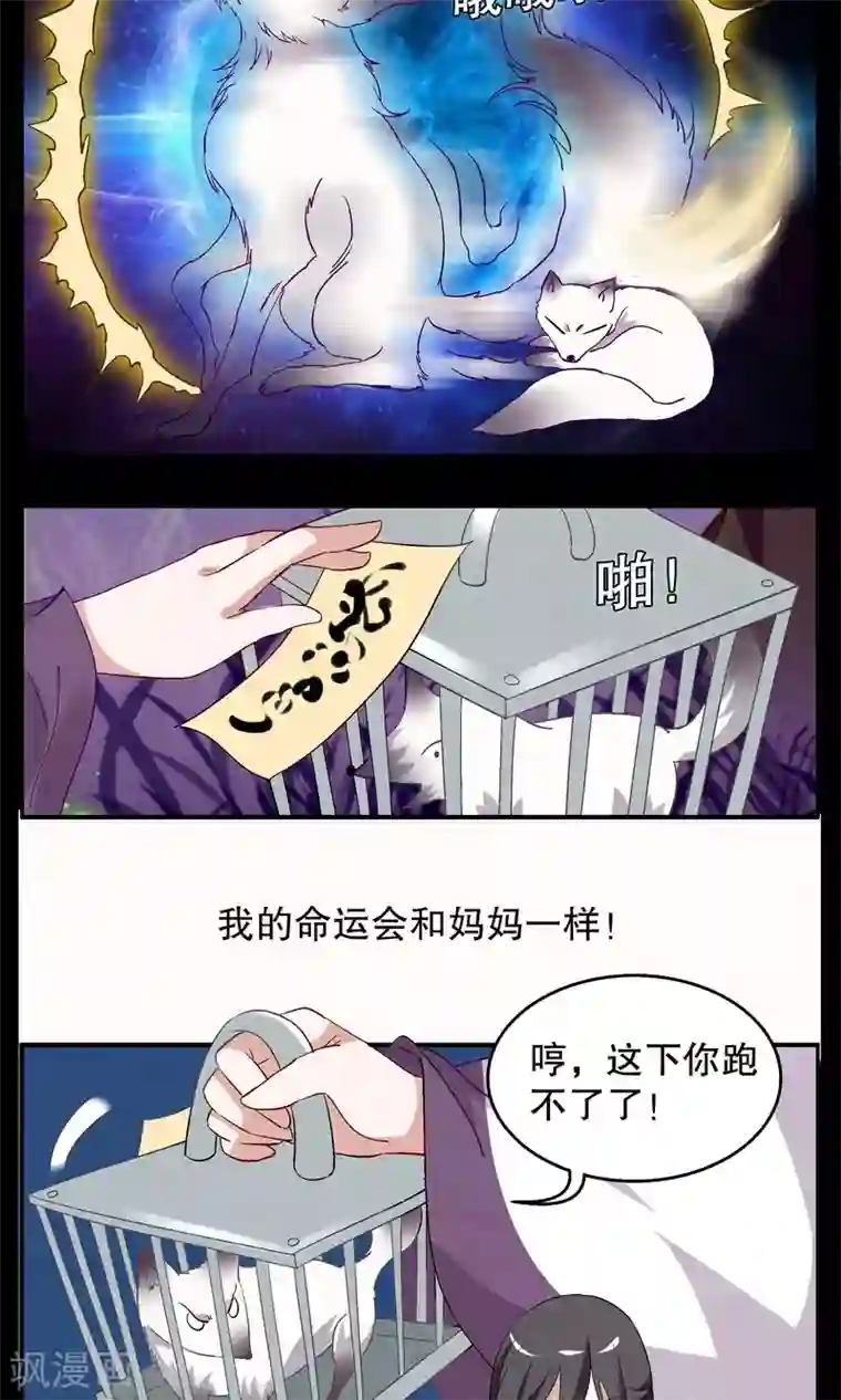 洛小妖第8话 白术(1)