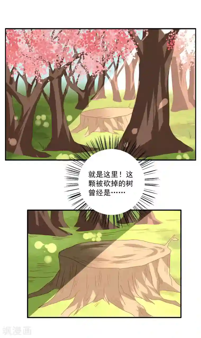 洛小妖第24话 树妖(1)