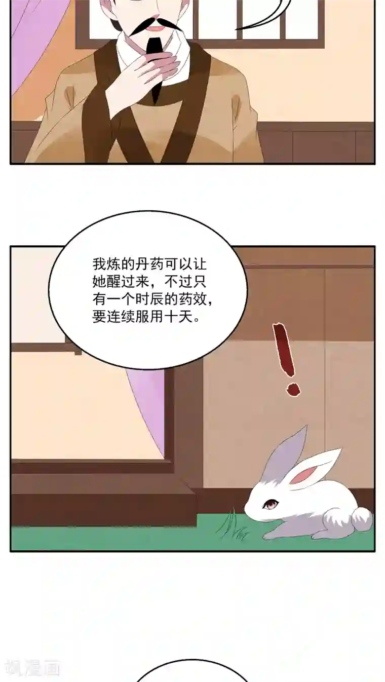 洛小妖第77话 茕兔(11)