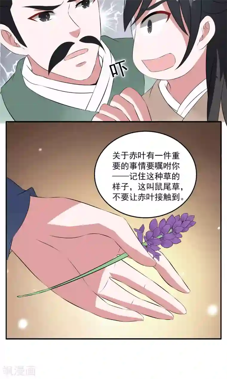 洛小妖第184话 林妖11