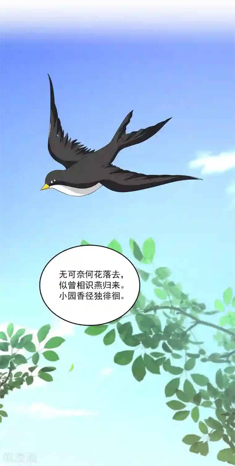 洛小妖第204话 玄鸟1