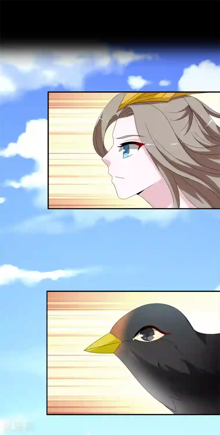 洛小妖第209话 玄鸟6