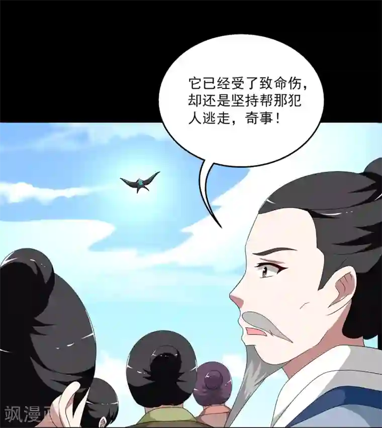 洛小妖第209话 玄鸟6