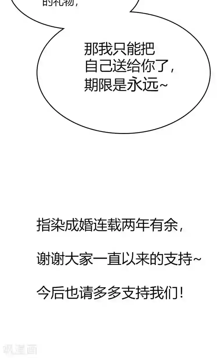 指染成婚双十一番外