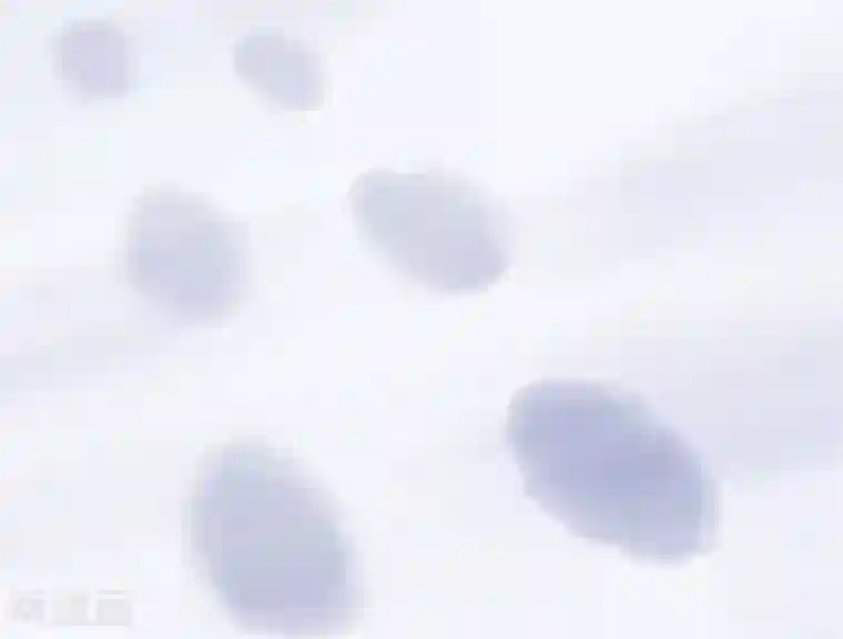 指染成婚第204话 孩子，妈妈爱你