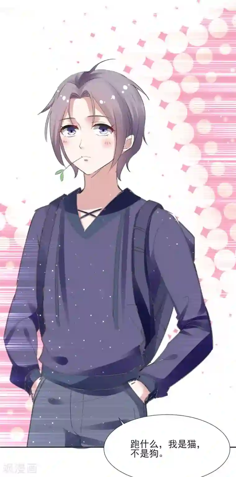 恋爱超速第60话 娱乐圈的真相