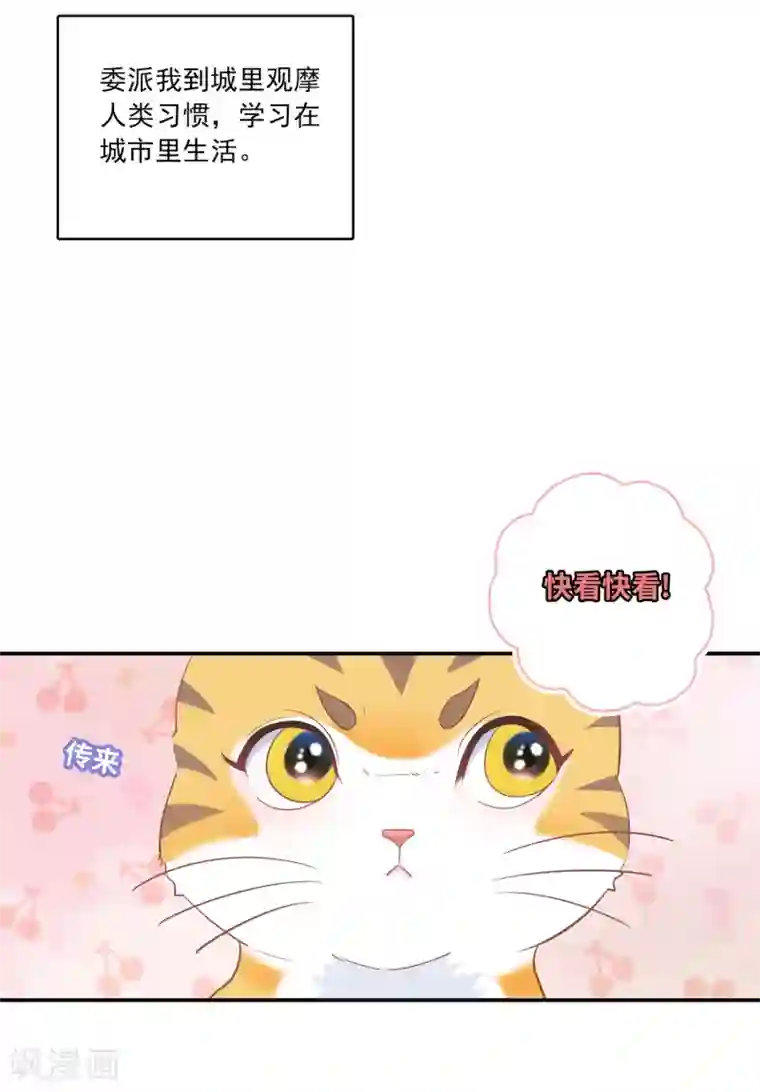 恋爱超速第1话 做人真难啊！