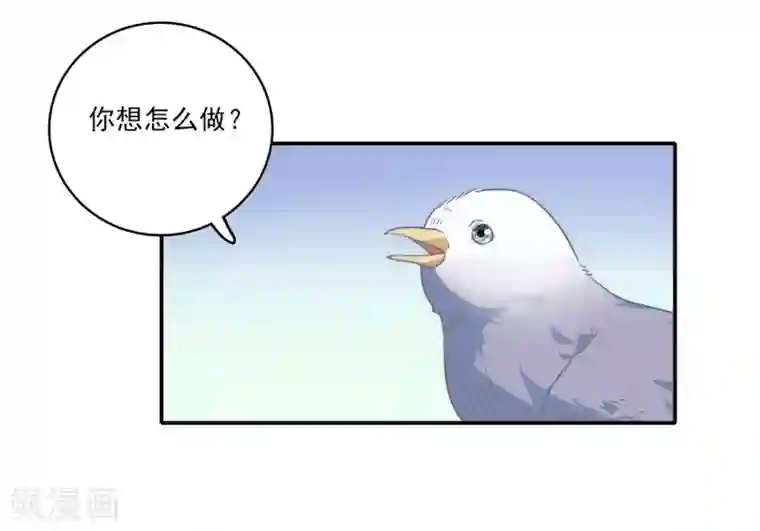 恋爱超速第1话 做人真难啊！