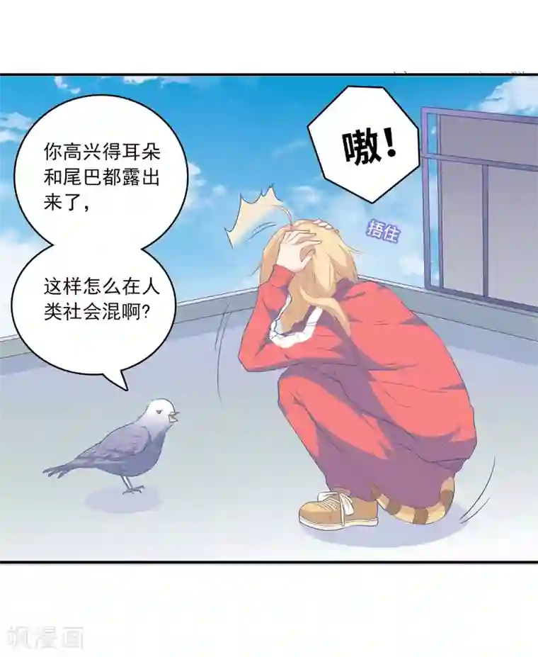 恋爱超速第1话 做人真难啊！