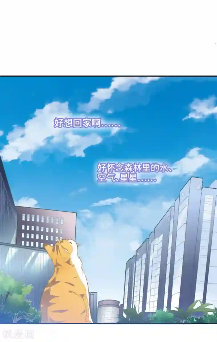 恋爱超速第1话 做人真难啊！