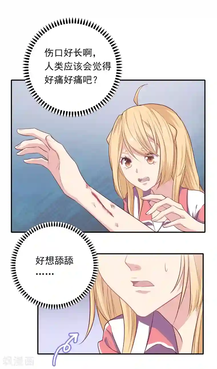 恋爱超速第2话 受伤了要舔一舔~