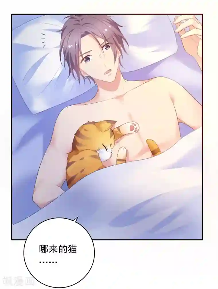 恋爱超速第17话 不要赶我走