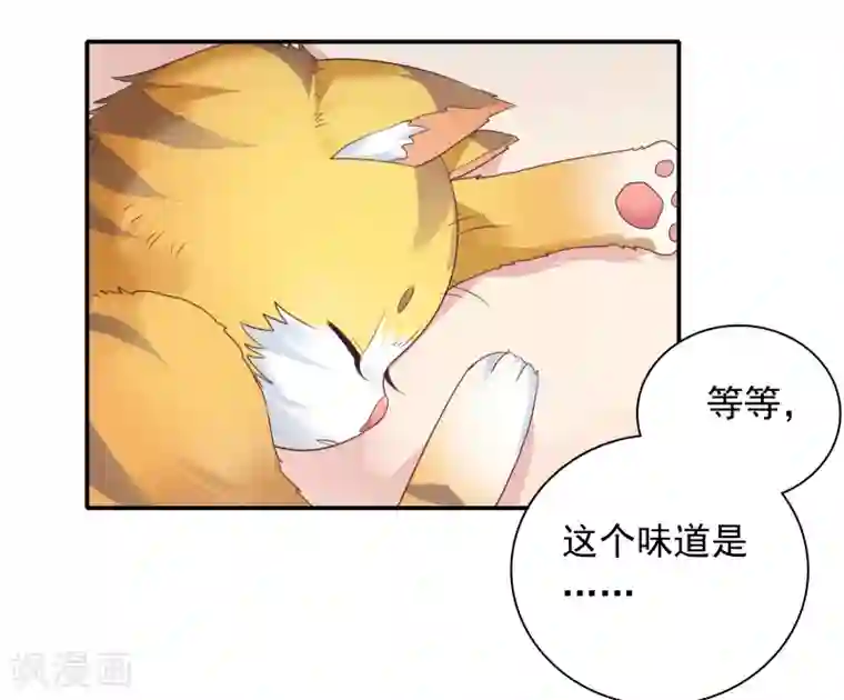 恋爱超速第17话 不要赶我走